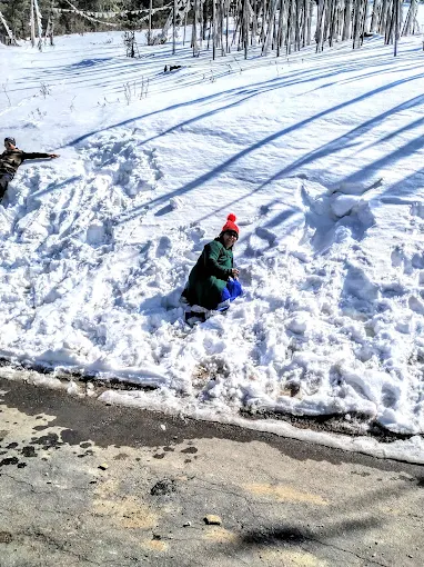 Sikkim Guest enjoying